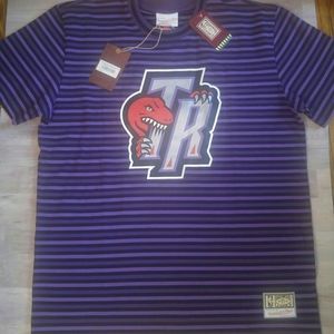 Mitchell & Ness Toronto Raptors Front Back Striped